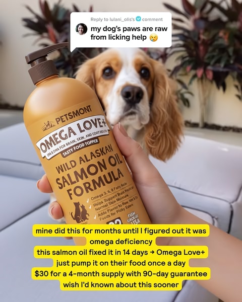 A 4:5 vertical ad featuring a direct reply to a customer's specific pet health pain point, leveraging testimonials to build immediate brand trust.